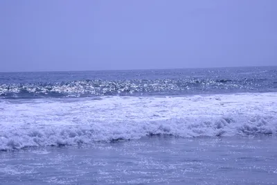 DSC_2112 (Large).JPG